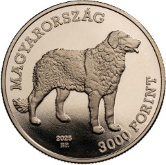 A képen érme, emlős, pénznem, menta látható

Előfordulhat, hogy az AI által létrehozott tartalom helytelen.