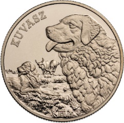 A képen érme, ellentétes, menta, pénznem látható

Előfordulhat, hogy az AI által létrehozott tartalom helytelen.
